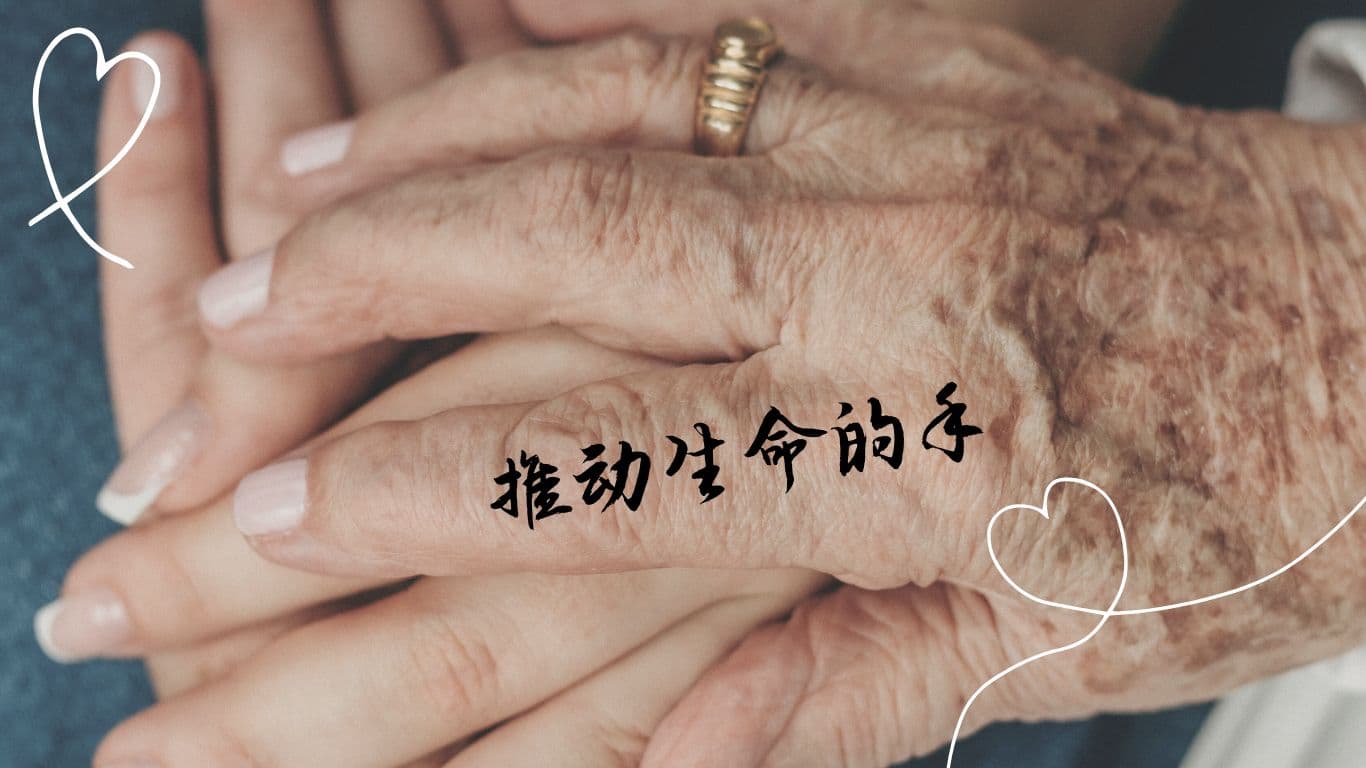 推动生命的手