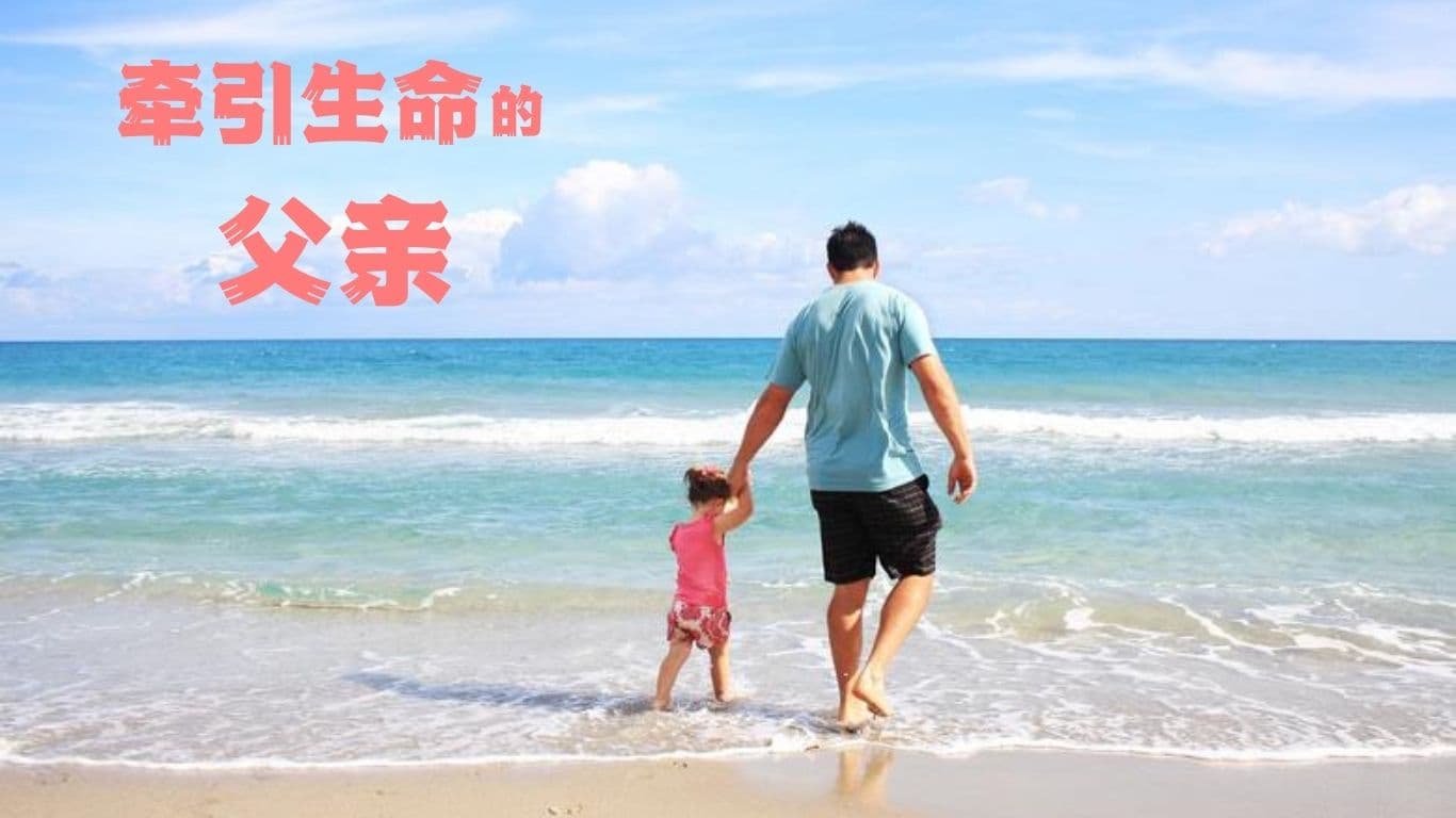 牽引生命的父親